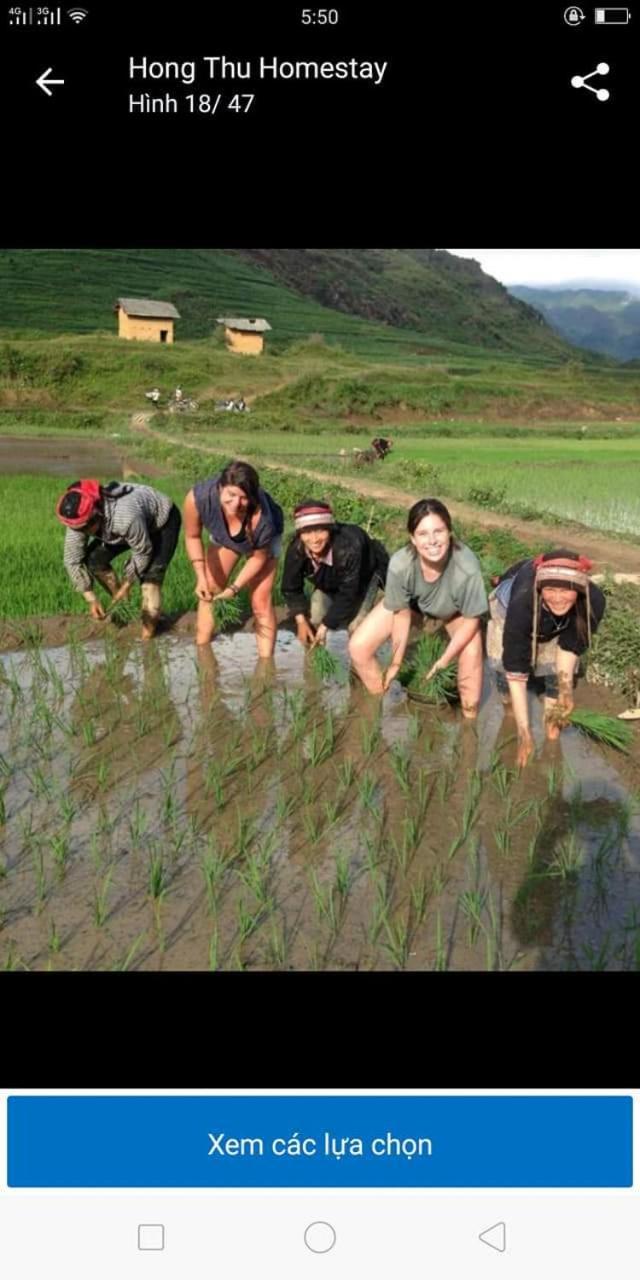 Hong Thu Homestay & Bungalow Quan Ba Exteriör bild
